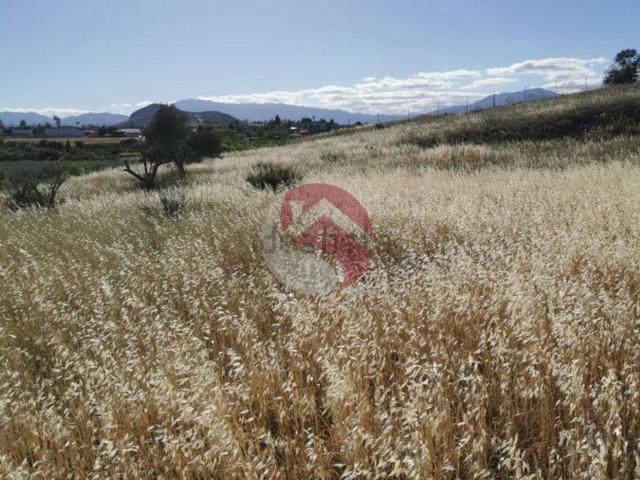 Terreno en venta en Valle del Guadalhorce, Andalucía