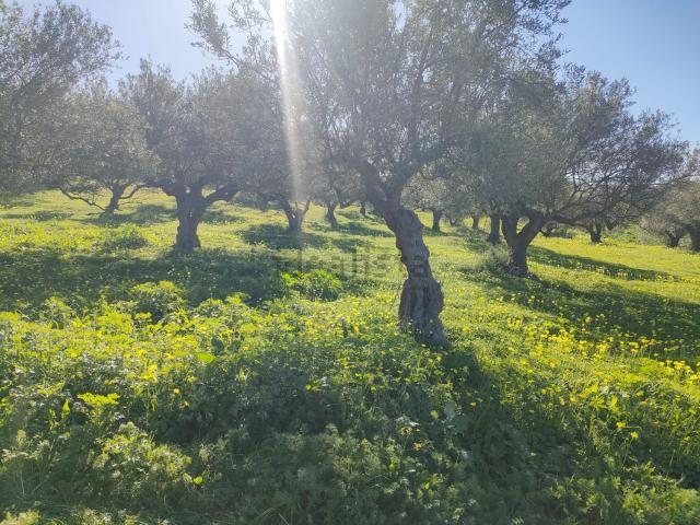 Terreno en venta en El Zángano, Valle del Guadalhorce