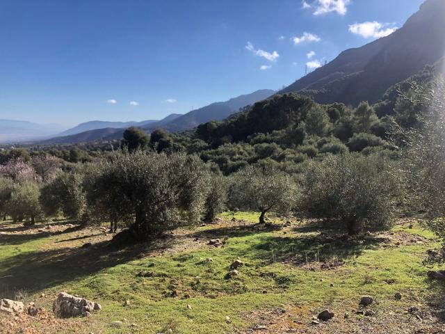 Terreno en venta en Barrio de San Antón, Alhaurín El Grande