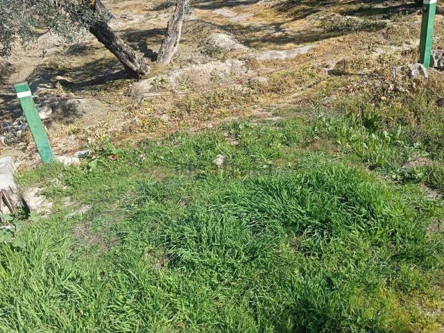 Terreno en venta en Comarca de la Vega de Granada, Andalucía