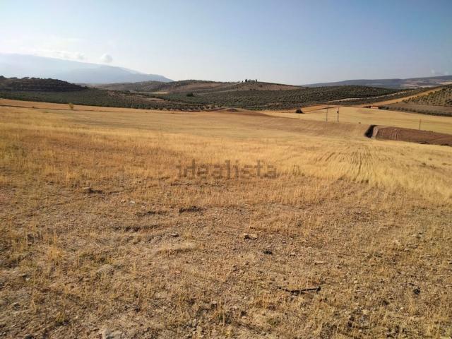 Terreno en venta en Alhendín, Andalucía