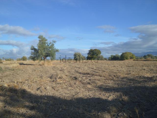 Terreno en venta en Comarca de la Vega de Granada, Andalucía