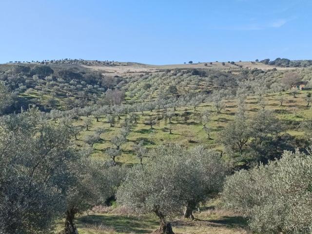 Terreno en venta en Alía, Extremadura