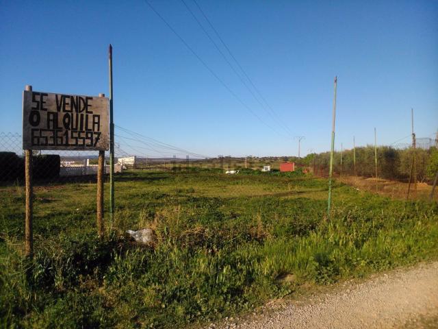 Terreno en venta en Aliseda, Extremadura