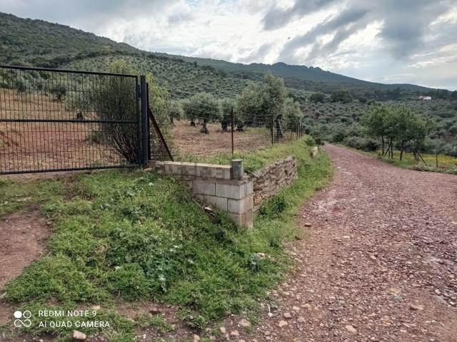 Terreno en venta en Aliseda, Extremadura