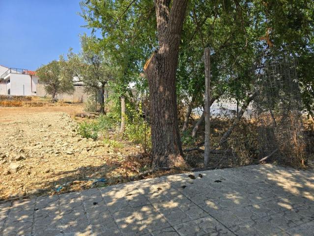 Terreno en venta en Aliseda, Extremadura