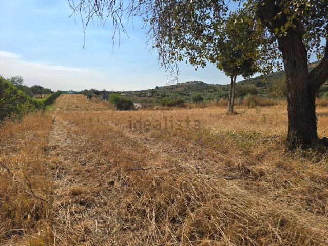 Terreno en venta en Aliseda, Extremadura