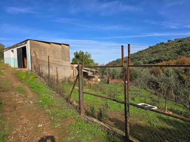 Terreno en venta en Aliseda, Extremadura