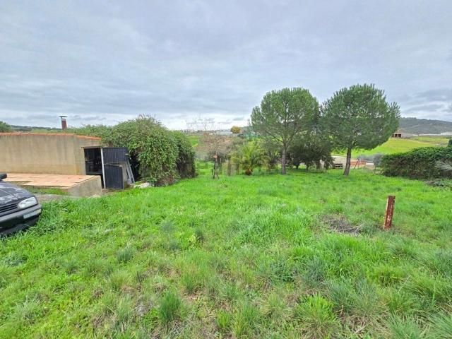 Terreno en venta en Aliseda, Extremadura