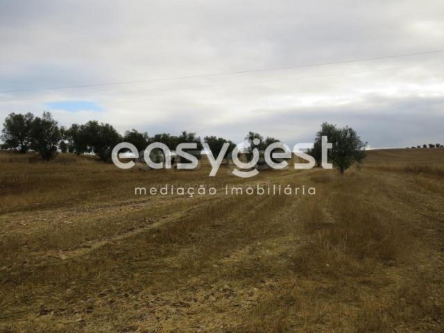 Terreno venda em Aljustrel, Bairro Plano Terreno venda em Aljustrel, Bairro Plano