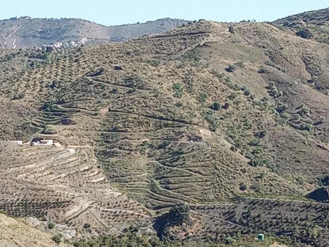 Terreno en venta en Almáchar, Málaga