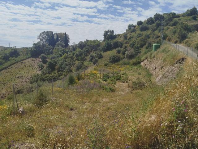 Terreno en venta en Almáchar, Málaga