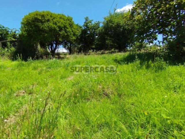 Terreno venda em Pombal, Almagreira