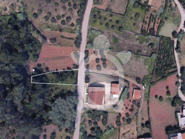 Terreno venda em Coimbrã, Almalaguês