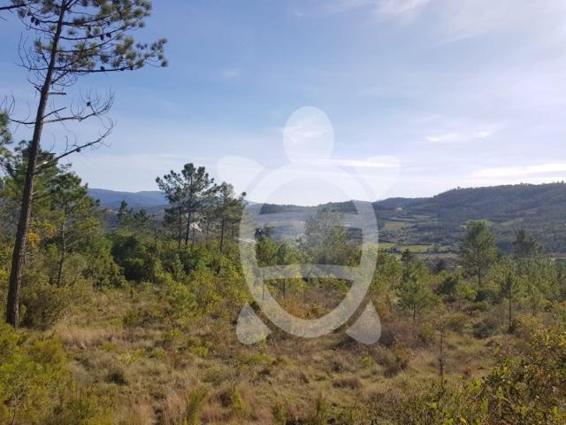 Terreno venda em Coimbrã, Almalaguês