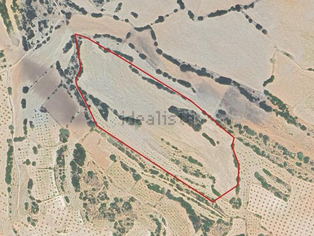 Terreno en venta en Almansa, Castilla-La Mancha