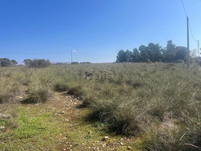 Terreno en venta en Almansa, Castilla-La Mancha