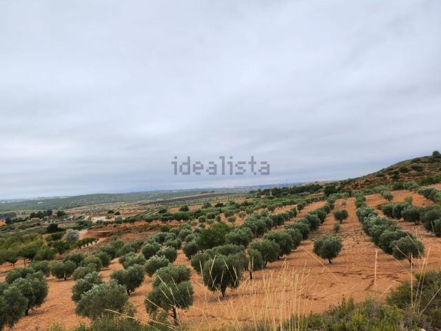 Terreno en venta en Almansa, Castilla-La Mancha