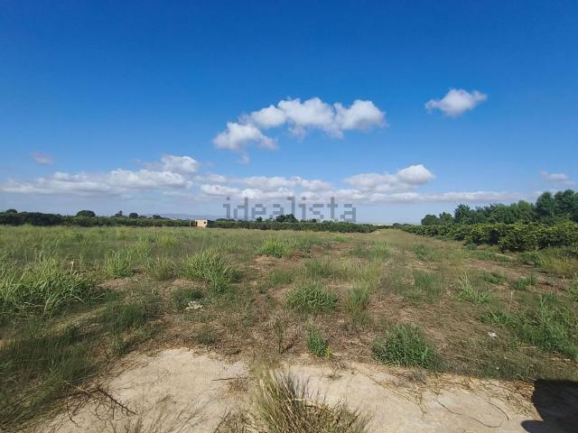 Terreno en venta en Polígono Industrial Mijares, Almassora