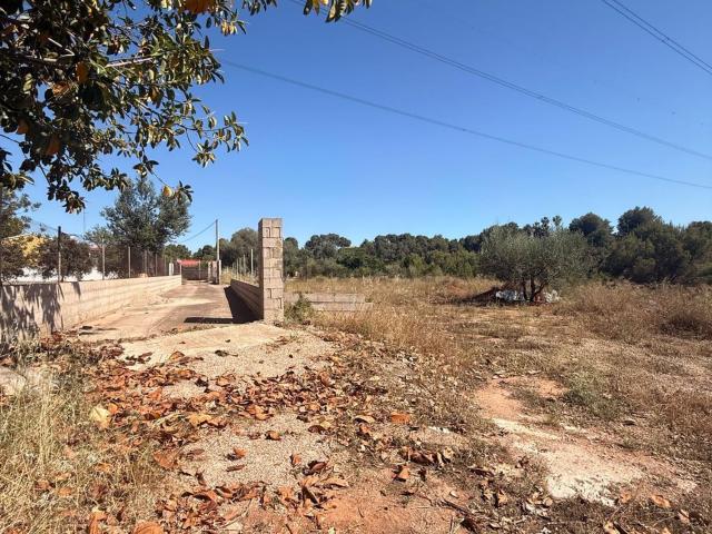 Terreno en venta en la Plana Alta, Valencia