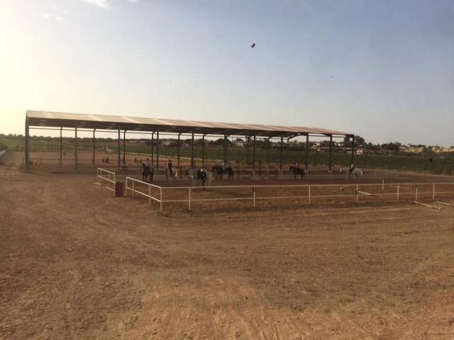 Terreno en venta en Almendralejo, Badajoz