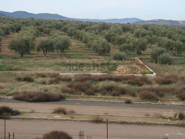 Terreno en venta en Almodóvar Del Campo, Castilla-La Mancha