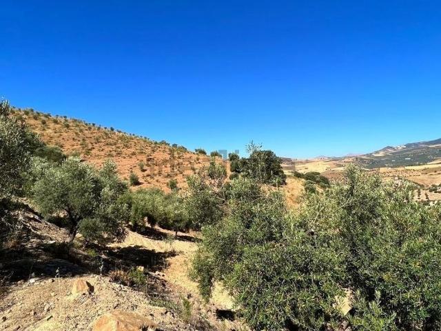 Terreno en venta en Valle del Guadalhorce, Andalucía