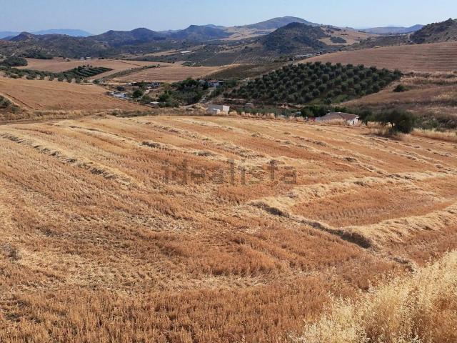Terreno en venta en Valle del Guadalhorce, Andalucía