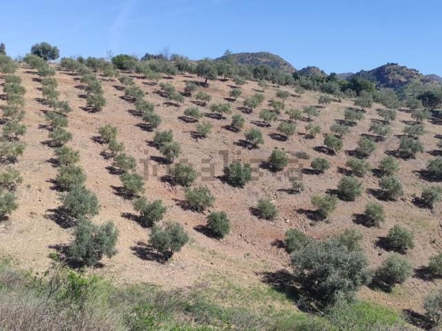 Terreno en venta en Valle del Guadalhorce, Andalucía