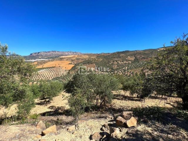 Terreno en venta en Valle del Guadalhorce, Andalucía