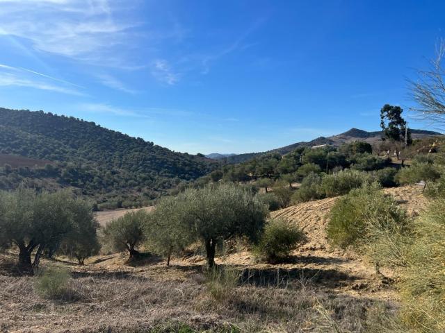 Terreno en venta en Valle del Guadalhorce, Andalucía