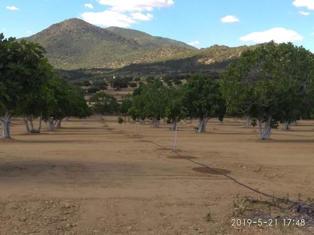 Terreno en venta en Almoharín, Extremadura