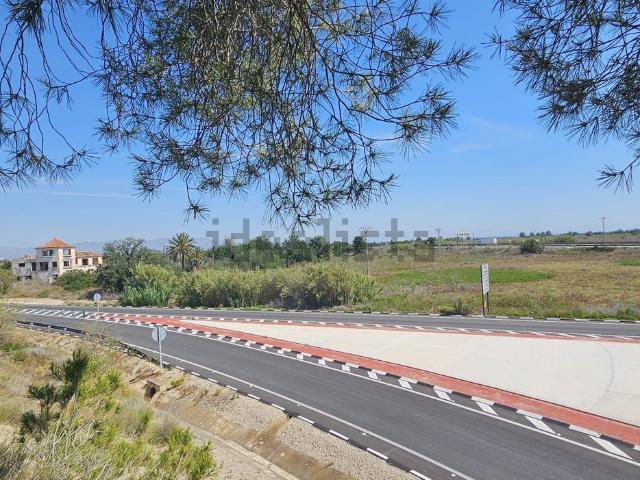 Terreno en venta en Almoradí, Valencia