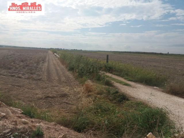 Terreno en venta en La Eralta, Almoradí