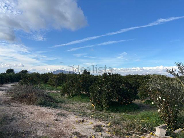 Terreno en venta en Las Heredades, Almoradí