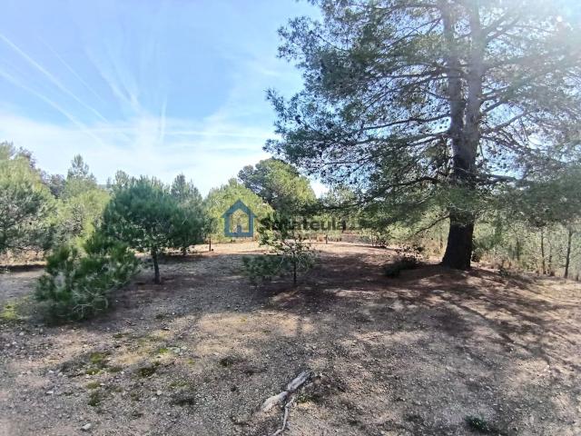 Terreno en venta en Baix Camp, Catalunya