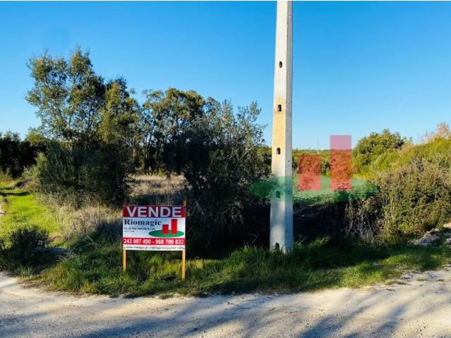 Terreno venda em Santarém