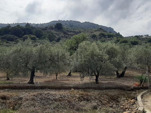 Terreno en venta en Valle del Guadalhorce, Andalucía