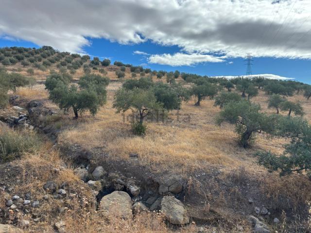 Terreno en venta en Valle del Guadalhorce, Andalucía