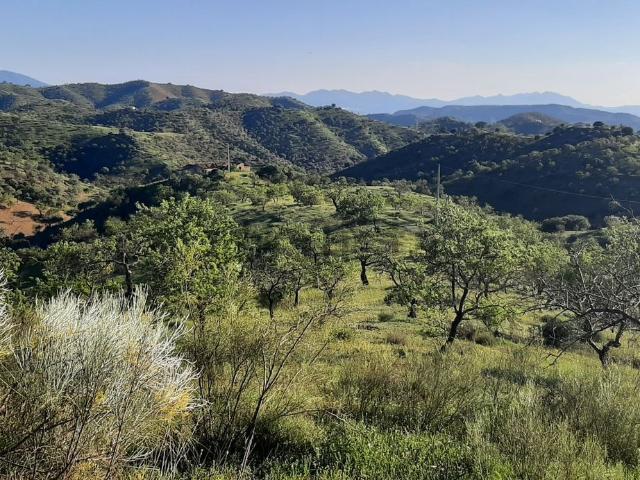 Terreno en venta en Valle del Guadalhorce, Andalucía
