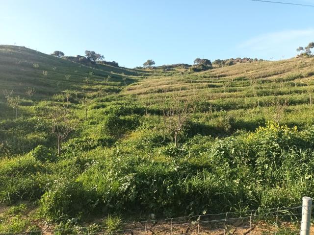 Terreno en venta en Valle del Guadalhorce, Andalucía