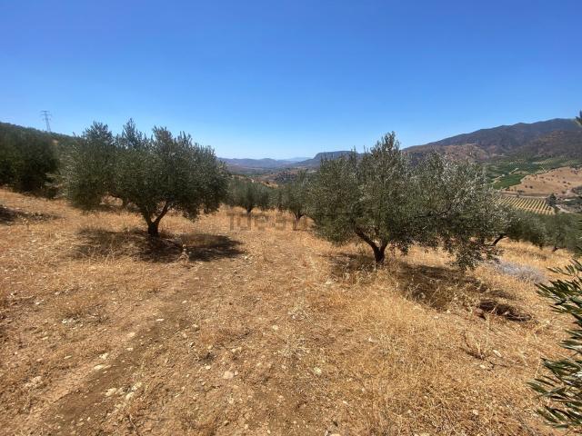 Terreno en venta en Valle del Guadalhorce, Andalucía