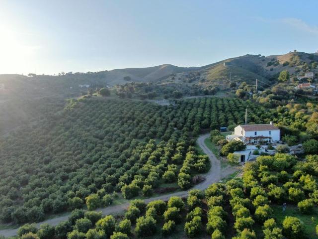 Terreno en venta en El Puente, Valle del Guadalhorce