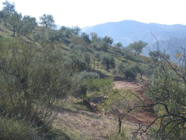 Terreno en venta en El Puente, Valle del Guadalhorce