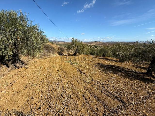 Terreno en venta en Sierra de las Nieves, Andalucía