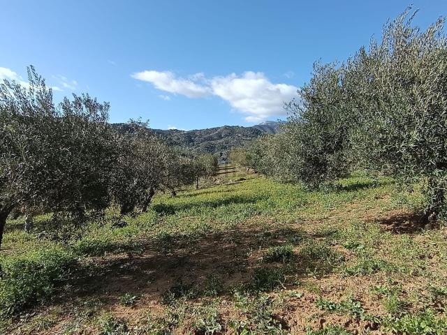 Terreno en venta en Sierra de las Nieves, Andalucía