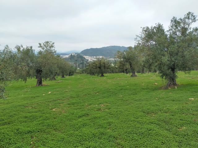 Terreno en venta en Sierra de las Nieves, Andalucía