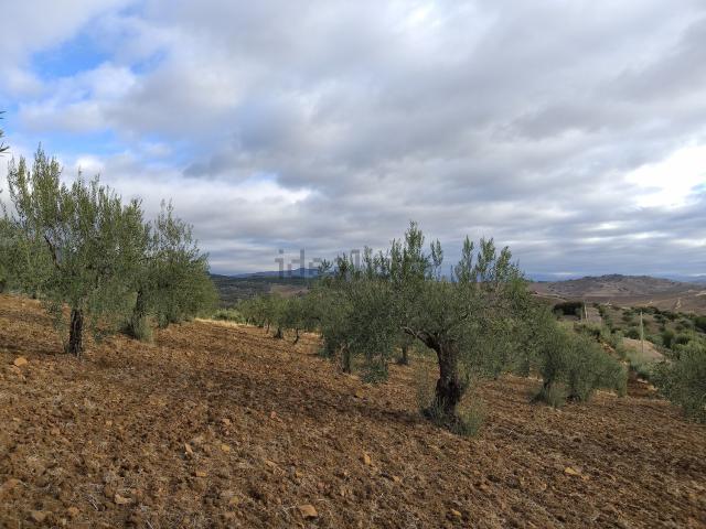Terreno en venta en Sierra de las Nieves, Andalucía