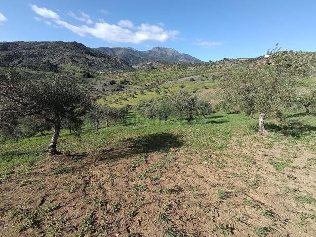 Terreno en venta en Sierra de las Nieves, Andalucía