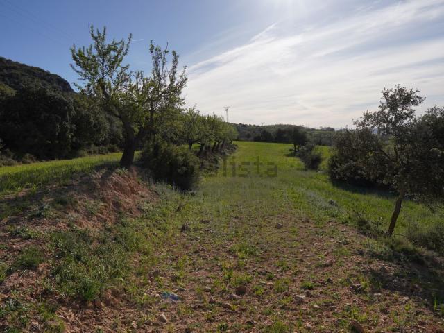 Terreno en venta en Somontano de Barbastro, Aragón